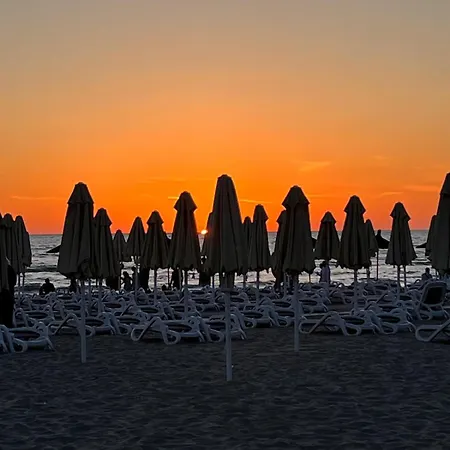 Apartment Aldi Summer