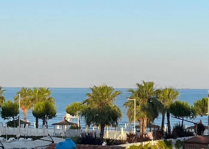 Aldi Summer * 골렘